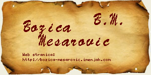 Božica Mesarović vizit kartica